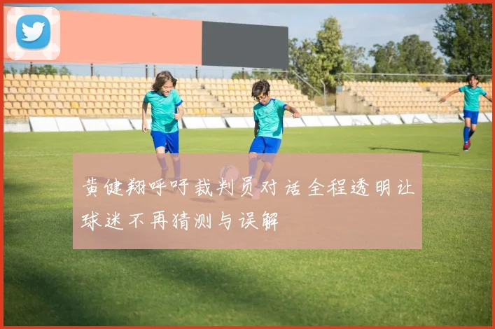 黄健翔呼吁裁判员对话全程透明让球迷不再猜测与误解