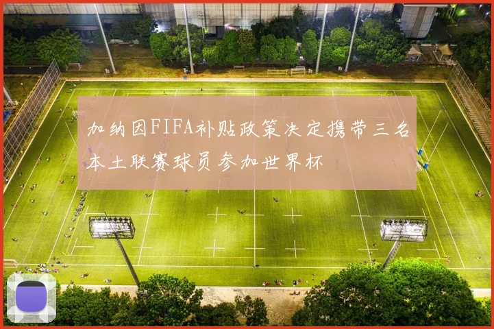 加纳因FIFA补贴政策决定携带三名本土联赛球员参加世界杯