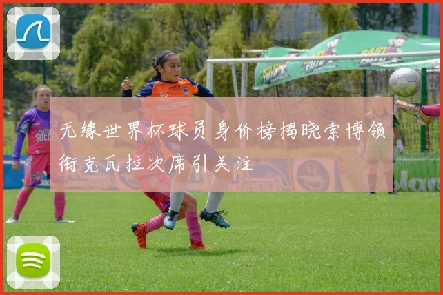 无缘世界杯球员身价榜揭晓索博领衔克瓦拉次席引关注